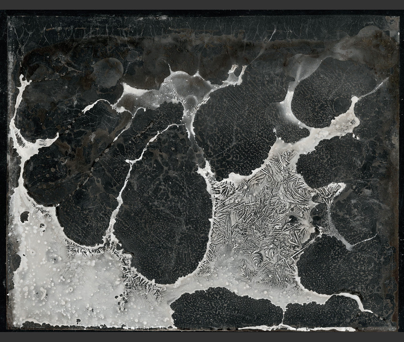 Logos Series from The Biennale, Paul Lowry